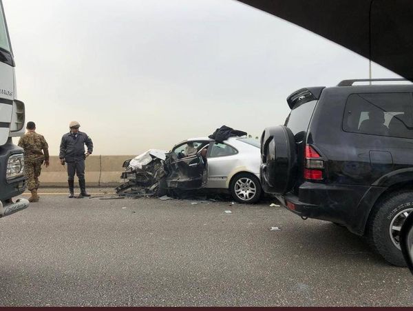 بالفيديو- 