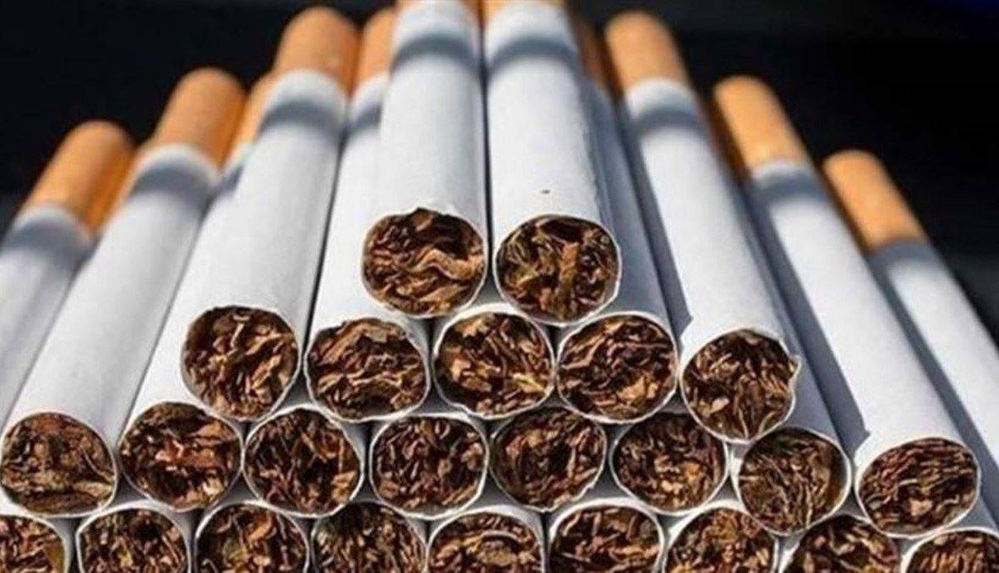 التدخين يقلص حجم الدماغ