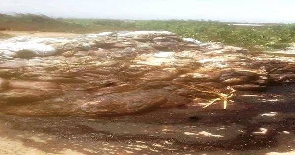أهالي المقيطع العكارية مستاؤون من رمي نفايات في بلدتهم