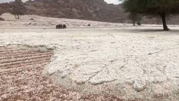 "من أغرب ما رأيت"... فيديو للبرد في حائل السعودية يحظى بانتشار واسع