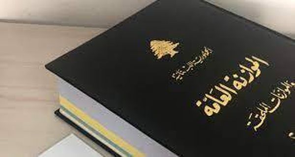 النائب مارك ضو يكشف عن تقديم طعن امام المجلس الدستوري بقانون موازنة 2020