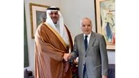 سلامة بحث مع السفير السعودي العلاقات الثقافية بين لبنان والمملكة