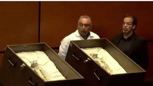 بالفيديو- البرلمان المكسيكي يعرض بقايا محنطة لمخلوقات غريبة