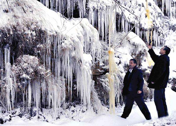 بري يكشف لـ«الديار» تصوراته وأفكاره في شأن الوضعين الحكومي والسياسي ...
نعيم قاسم: حكومة من دون ثقة تدخل البلد في الانقسام والفوضى والنزاع ...
العاصفة تتجدد ليلاً والثلوج على ارتفاع 600م والطرقات مقطوعة بسبب الجليد