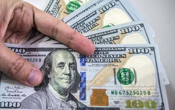 100 الف دولار من الخرافي لتحريج مناطق