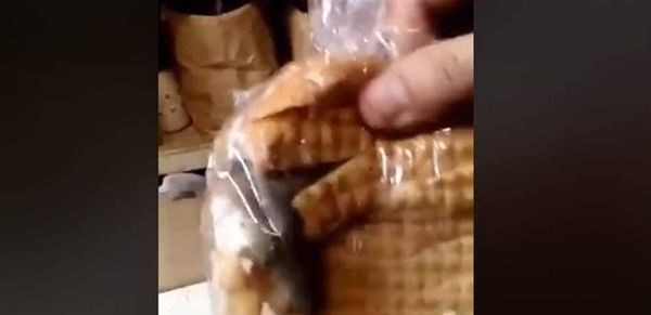 مشهد مقزّز.. العثور على فأرٍ داخل كيس خبزٍ! (فيديو)