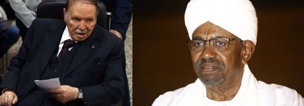 موقع بلومبرغ يقول الربيع العربي سيسقط الرئيس البشير وبوتفليقة ويجتاح الجزائر والسودان