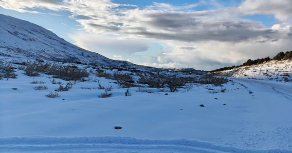 منخفض جوّي بارد يؤثر في لبنان وثلوج على ارتفاع 1000 متر
عواصف... رياح شديدة وسيول اجتاحت منزلًا في تنورين التحتا
