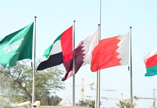 إعجاب خليجي ولوم