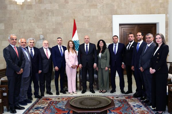 عون يؤكد دعم صناعة الدواء ويتعهد بمتابعة مطالب المصانع