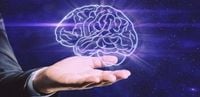 أطعمة مفيدة لصحة الدماغ... تعرفوا عليها