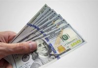 جريمة مروعة في سوريا بسبب 300 دولار… إليكم التفاصيل…