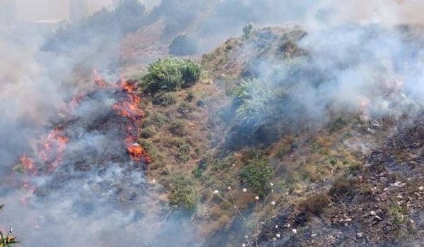 حريق في الدكوانة.. ومناشدات من الأهالي
خطار: الدفاع المدني أخمده رغم الإضراب