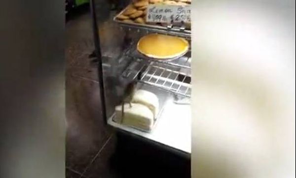 فيديو مقزّز.. فأرٌ يجول بين الحلوى داخل باتيسيري!