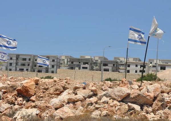 نائبة المندوب الأميركي بمجلس الأمن: الولايات المتحدة تعارض ضم إسرائيل للضفة الغربية