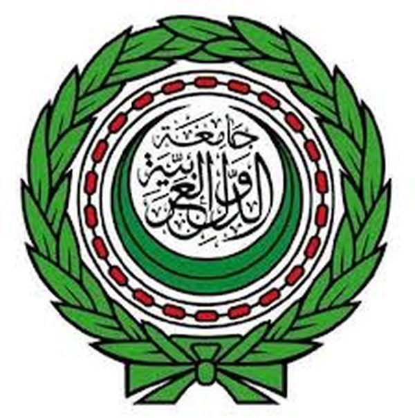 جامعة الدول العربية: سنتابع الإنتخابات الرئاسية والبرلمانية في مصر