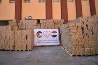 مصر ترسل 65 طنا من الأدوية والمستلزمات الطبية إلى قطاع غزة بتوجيه من السيسي