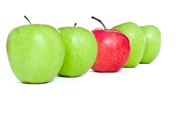 نصائح تتبع الرجيم... اكتشفيها!