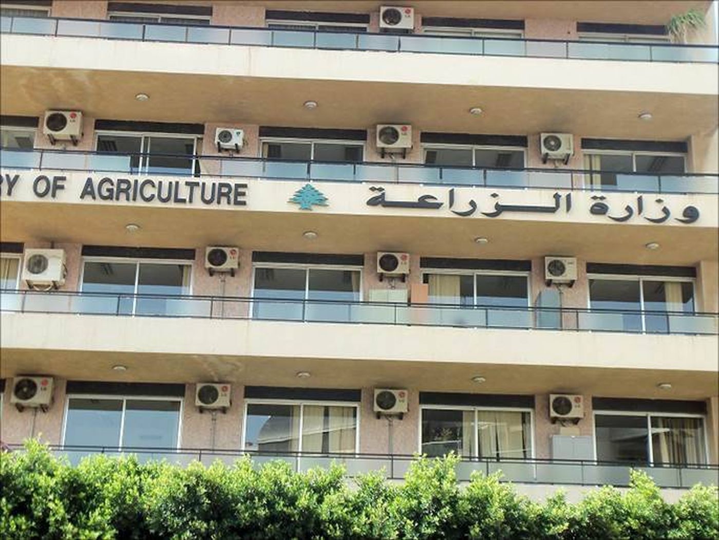 وزارة الزراعة وغرفة طرابلس تبحثان تطوير زيت الزيتون