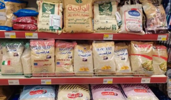 جولات تفتيشية بالجنوب... وضبط 