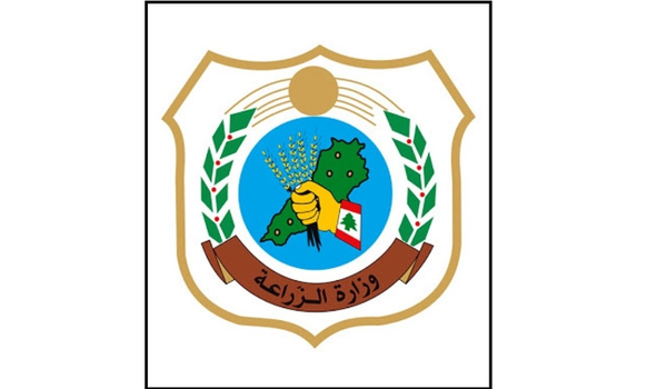 وزارة الزراعة تضبط سوق البطاطا