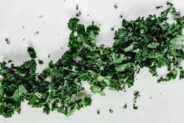 ١٠ طرق سهلة وبسيطة لتضمين الكرنب في نظامك الغذائي مع خبيرة التغذية بتول اللو