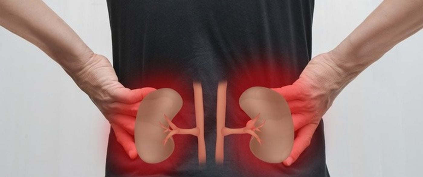 بعد سن الأربعين... احذري 5 عادات قد تضر بالكلى