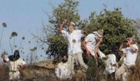 مستوطنون يعتدون على مزارعين فلسطينيين