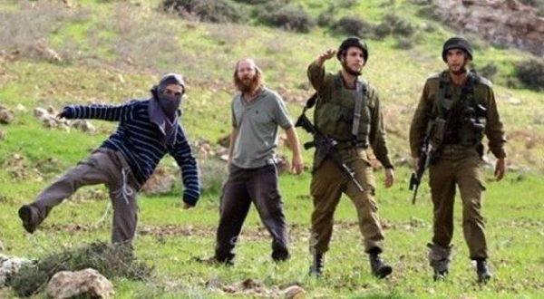 مستوطنون يعتدون على مزارع فلسطيني مسن داخل أرضه وبحماية جنود الاحتلال