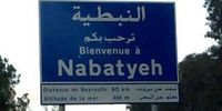 محاضر ضبط بحق أصحاب ملاحم في النبطية