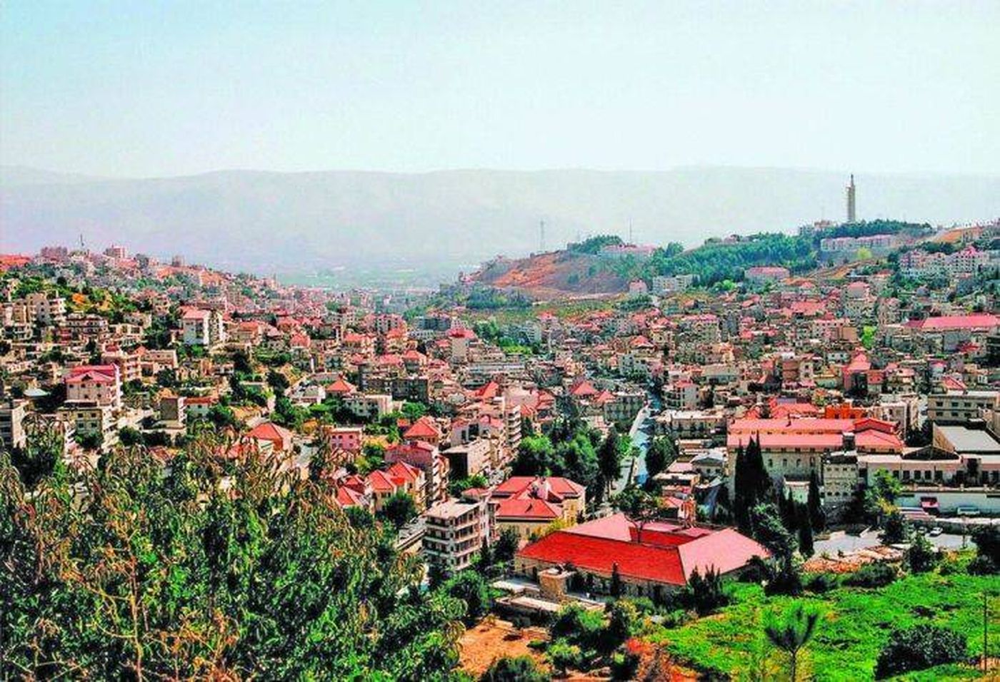 كارثة بيئيّة في زحلة