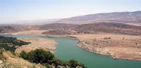 المصلحة الوطنية لنهر الليطاني تباشر غدا رفع الاسماك النافقة عن ضفاف القرعون