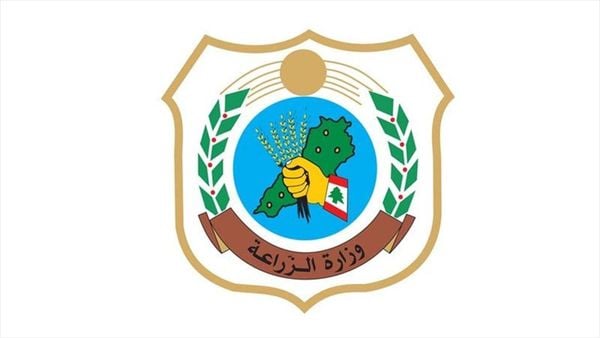 أسماك صغيرة نافقة على رمال الشواطئ اللبنانية.. ما السبب؟