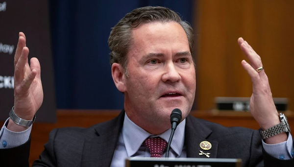 والتز: مجلس السلام وقوة استقرار دولية سيقودان إدارة غزة