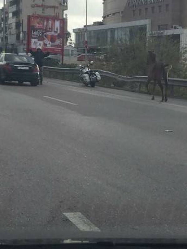 بالصور.. أوتوستراد خلدة يتحول الى ميدان سباق خيل!
