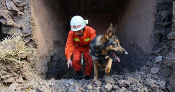 انتشال جثتين من تحت أنقاض مبنى انفجر ليلة رأس السنة بأميركا