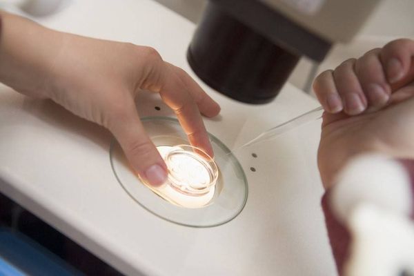 جامعيات يجمدن بويضاتهن.. لن تتخيّلوا السبب