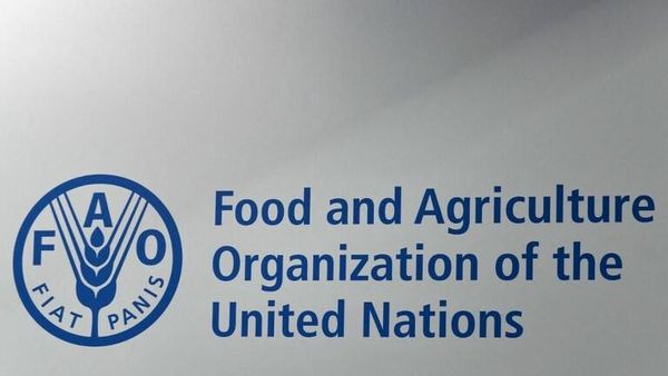 "الفاو": حوالى 12 مليون سوداني سيعانون من الجوع