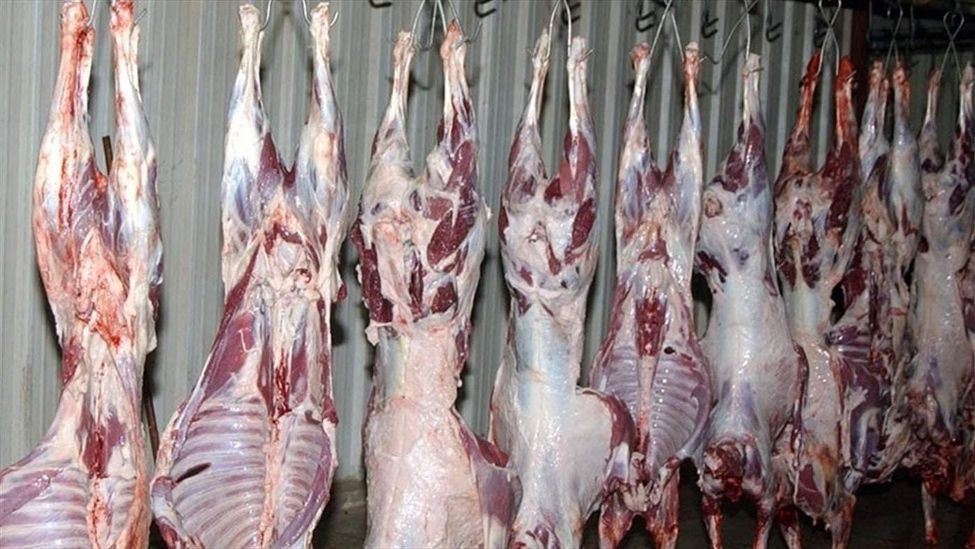 نقابة قصابي البقاع تحذّر: الرسوم البيئية تهدّد الإنتاج وترفع كلفة اللحوم