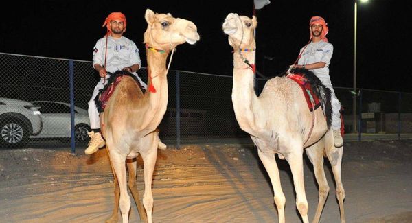 دوريات على الجمال تظهر لدى شرطة أبوظبي