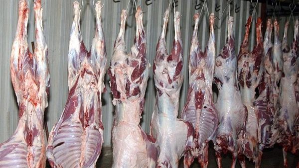 نقابة قصابي البقاع تحذّر: الرسوم البيئية تهدّد الإنتاج وترفع كلفة اللحوم