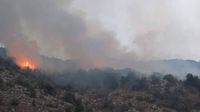بالفيديو والصور.. حريق في عيتنيت- البقاع الغربي