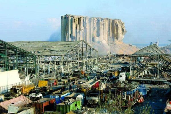 مطلوب التضحية