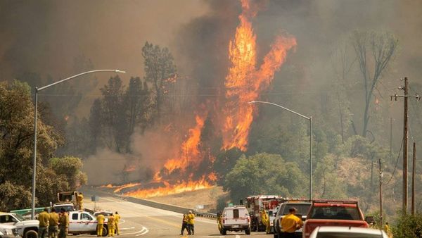 Plusieurs disparus lors d'incendies de grande ampleur en Californie