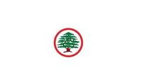 "ماذا تفعل يا باسيل؟".. القوات اللبنانية: لك يا "ابن العهد" عتمتك ولغتك
