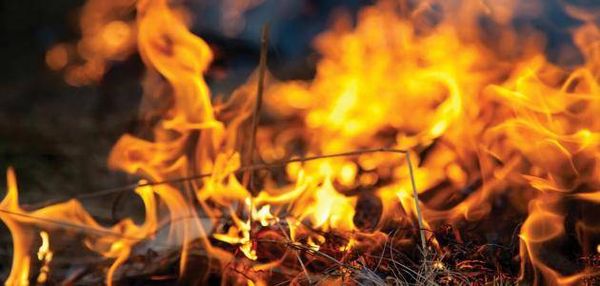 موقد بدائيّ يكشف أسرار الإنسان القديم