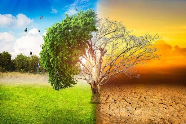 دراسة: الحرارة قد تتسبب بـ700 ألف وفاة وخسائر بـ3.68 مليار دولار بحلول 2050