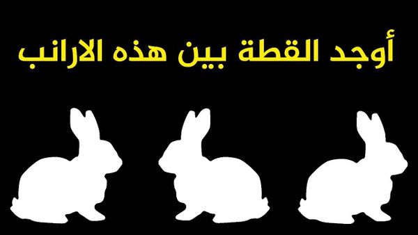 بالفيديو- إذا ستطعت إجتياز هذا الإختبار فأنت شخص معجزة في الذكاء!