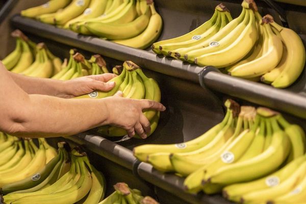 "سوفت بنك" توجه بوصلتها الاستثمارية نحو منصات الابتكار الاسكندنافية