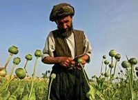 تعاون روسي أفغاني لمكافحة إنتاج المخدرات وتهريبها في شمال أفغانستان 